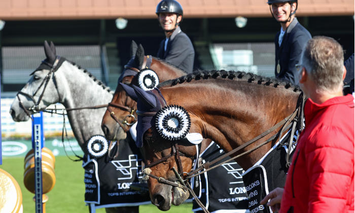 El Barone 111 Z x Der
                                                                    Senaat