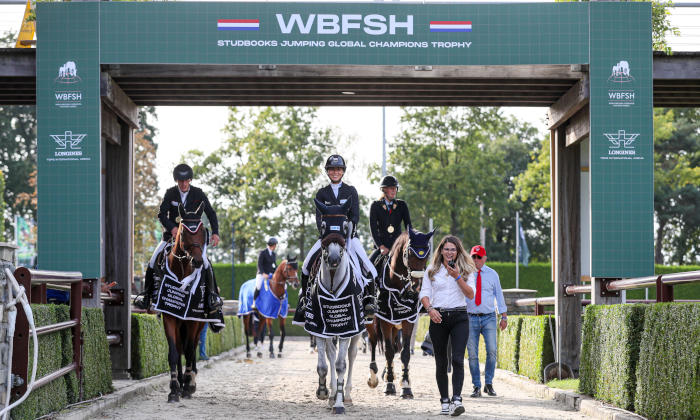 Balous Diamond x
                                                                    Cachas