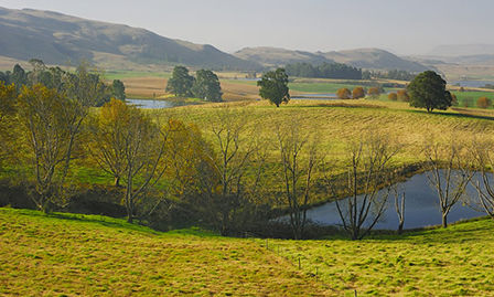 Nottingham Road, RSA