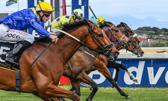 Horse racing South Africa