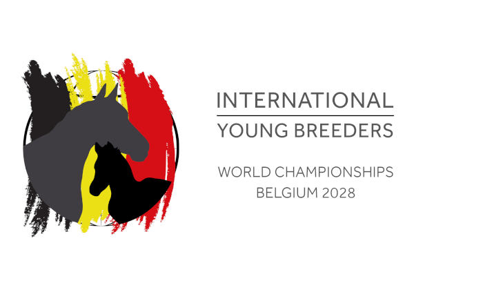 iyb belgium logo