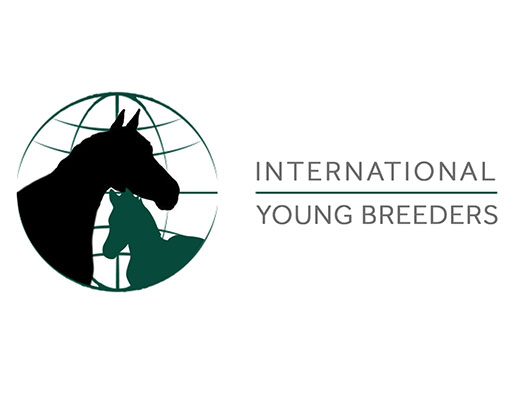 IYB Logo