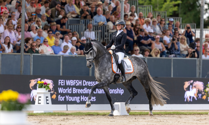 Jameson RS2 x Johnson