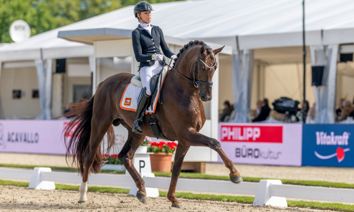 Romanov x Sir Sinclair