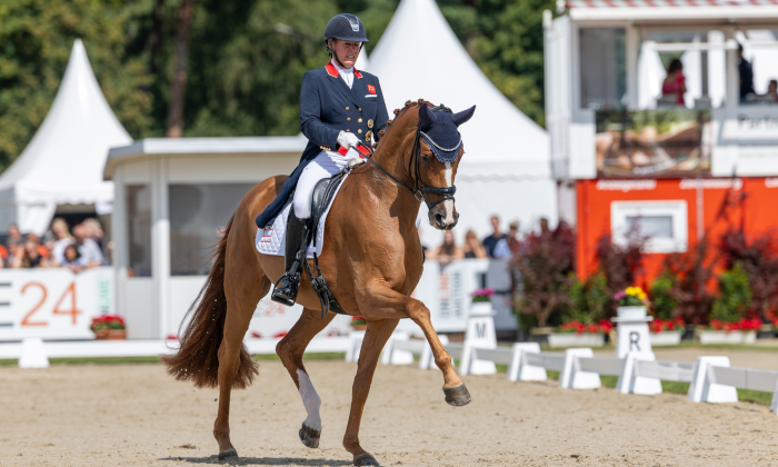 Quaterhit x Fassbinder