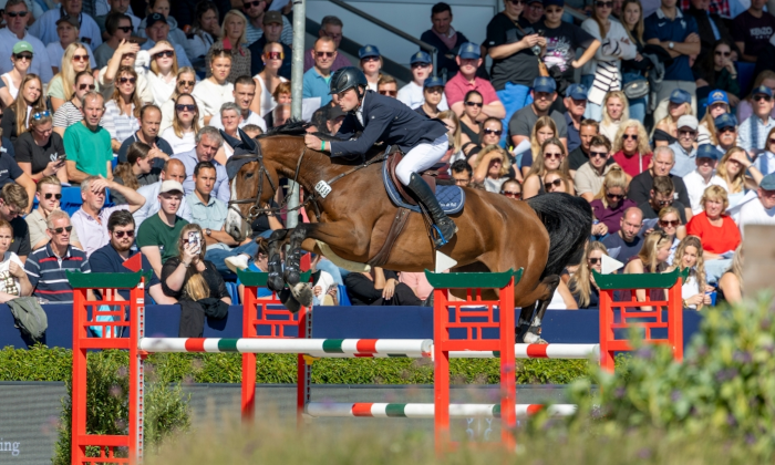 HSS PRIVATE RYAN by EL BARONE 111 X HIGH SHUTTERFLY - KWPN