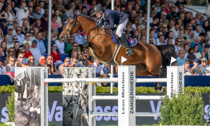 AUGUSTUS Z by AGANIX DU SEIGNEUR x VIGO D'ARSOUILLES - ZANG